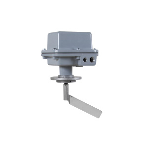 Level Sensors With Rotary Vane